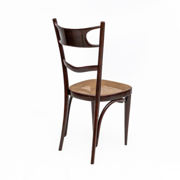 Early 20th Century Bent Beech Chairs Sautto & Liberale - Image 8