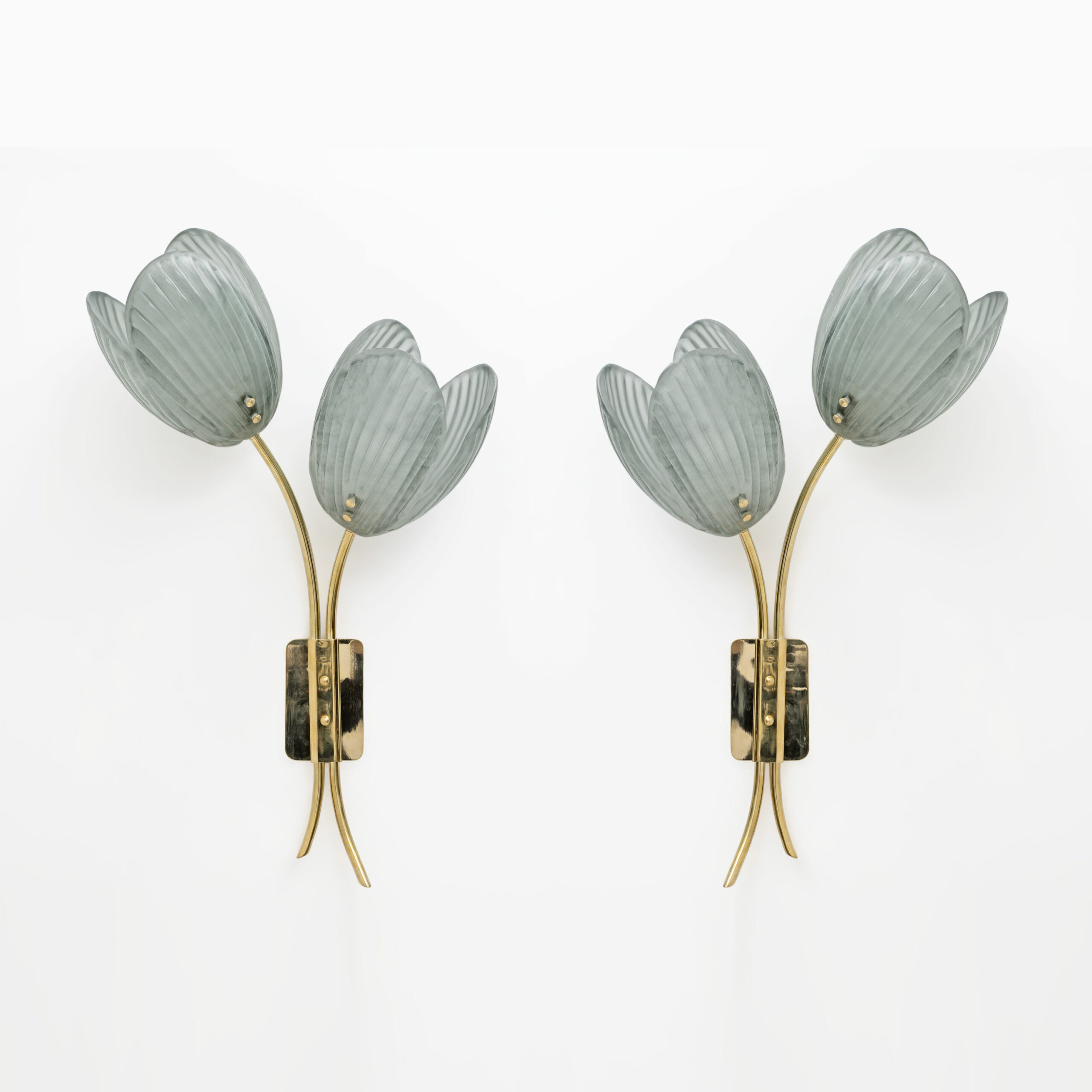Pair of Tulips Murano Glass and Brass Sconces