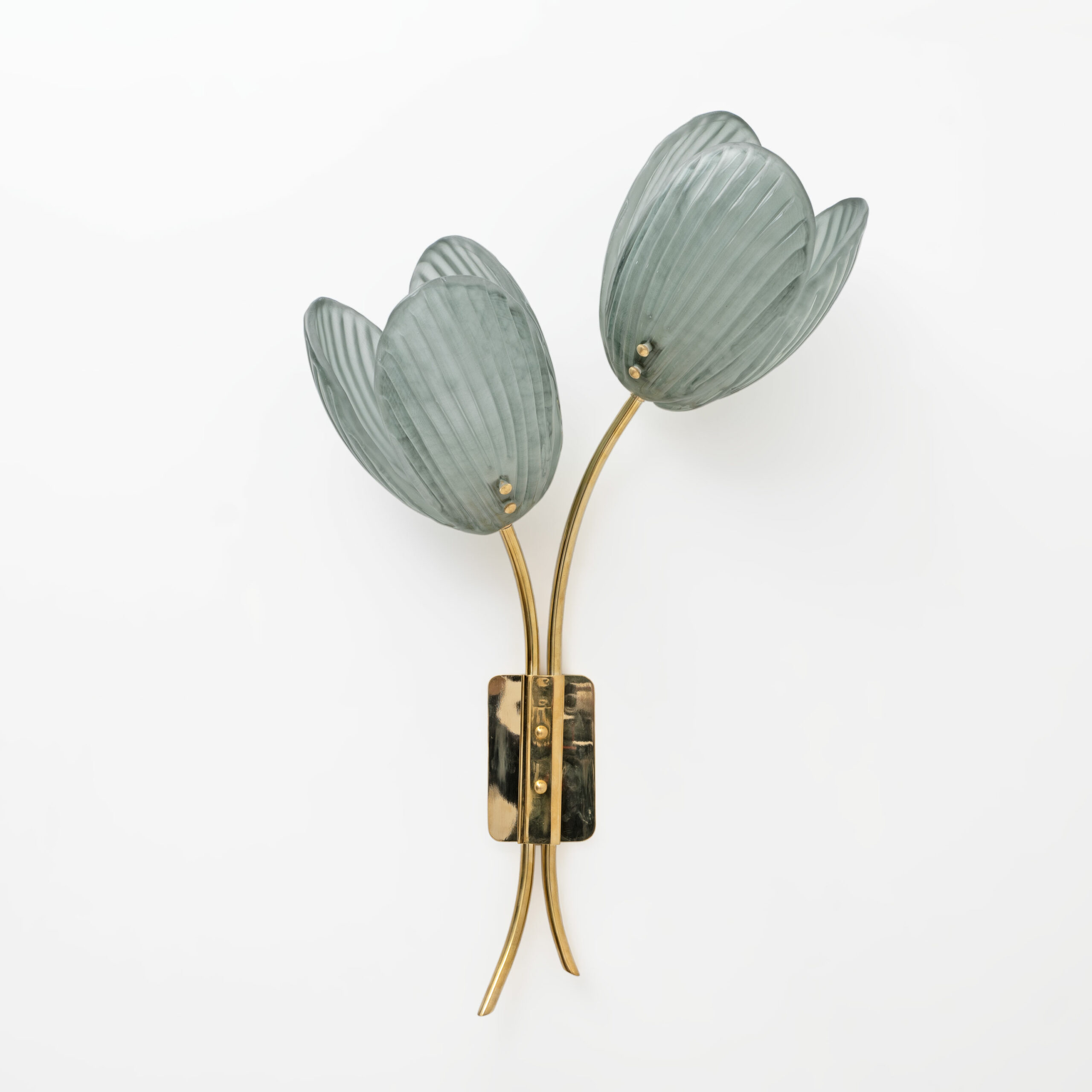 Pair of Tulips Murano Glass and Brass Sconces - Image 3