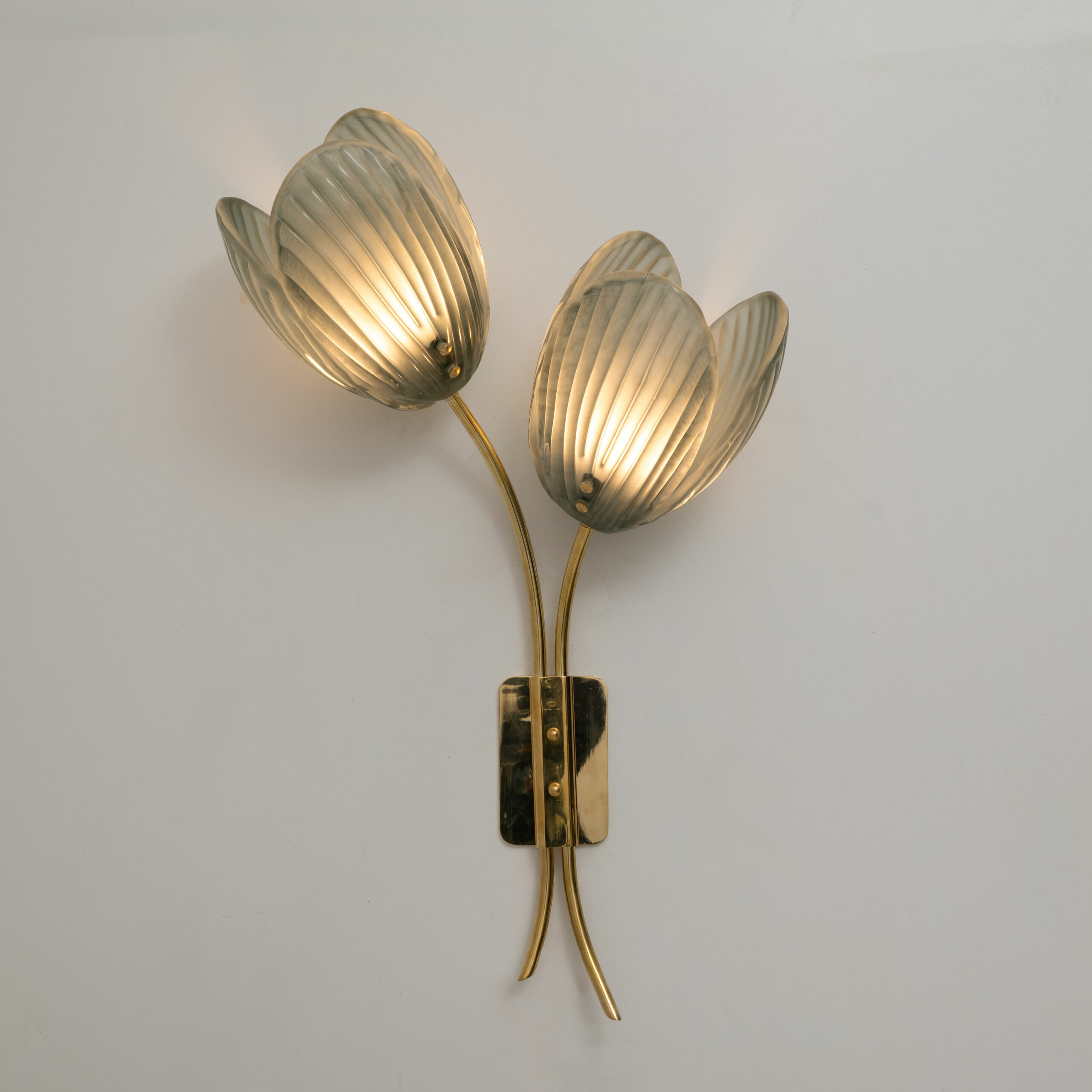 Pair of Tulips Murano Glass and Brass Sconces - Image 4