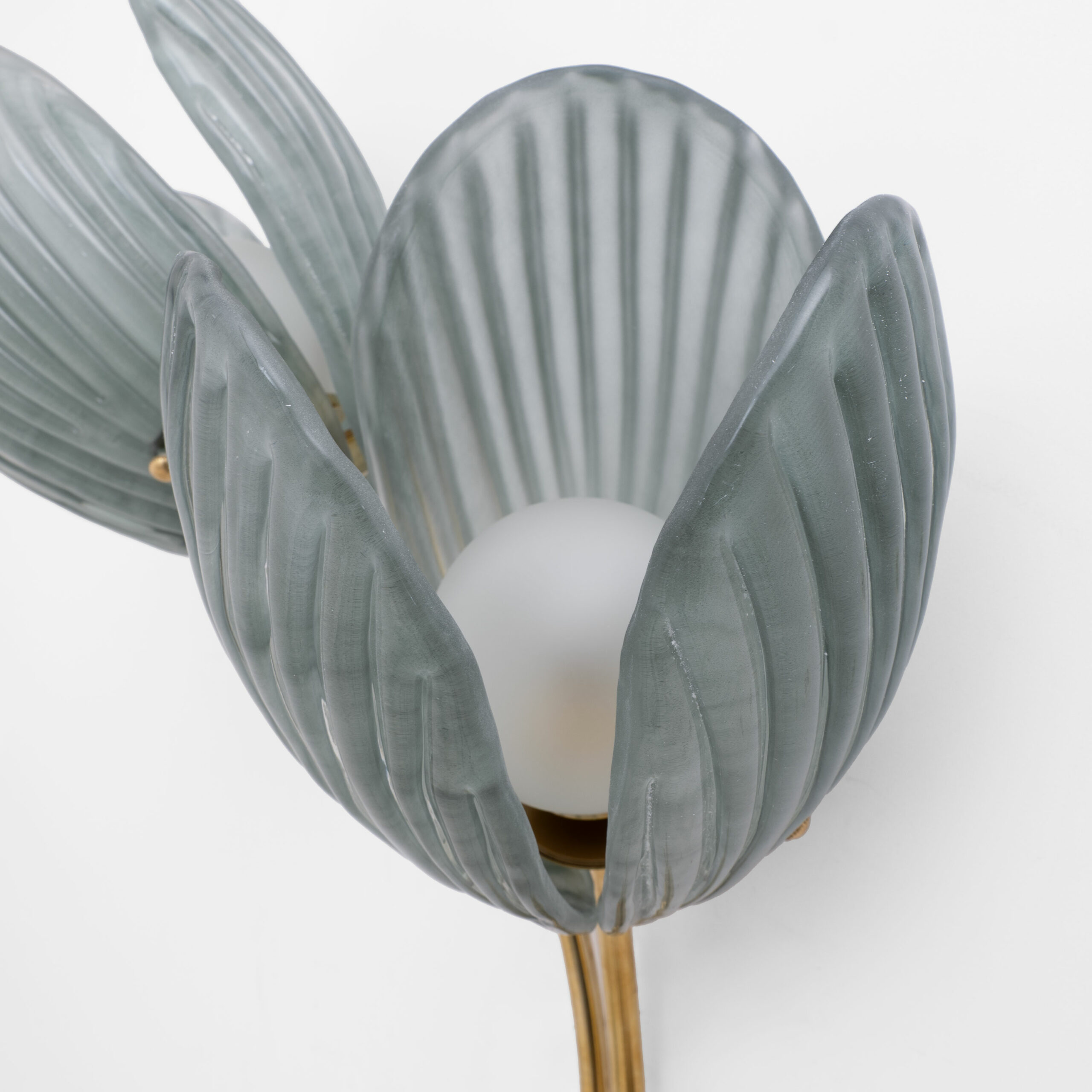 Pair of Tulips Murano Glass and Brass Sconces - Image 8